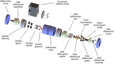 On Differential Mechanisms for Underactuated, Lightweight, Adaptive Prosthetic Hands